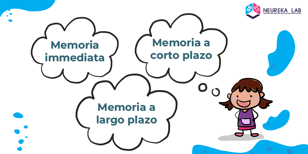 1. Memoria inmediata; 2. Memoria a corto plazo; 3. Memoria a largo plazo.